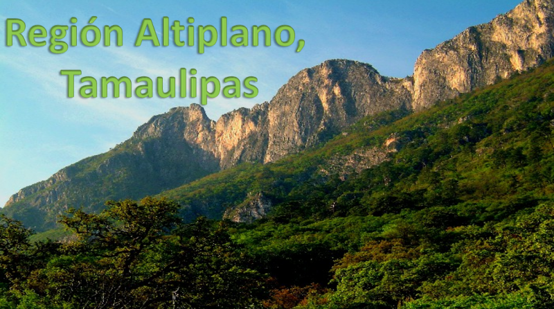 Region Altiplano, Tamaulipas